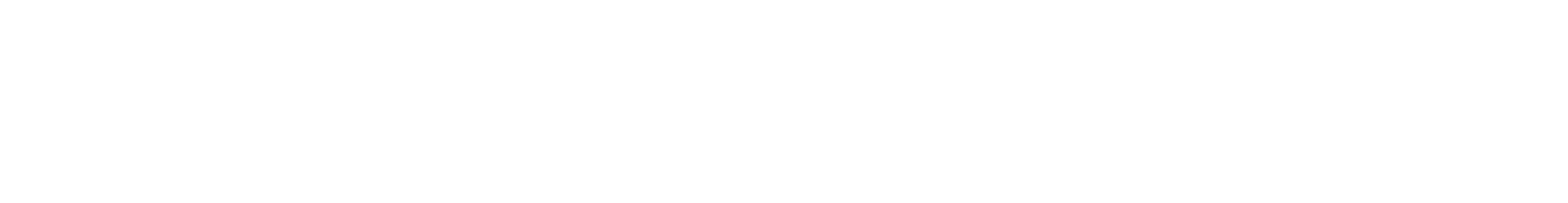 Logo Sabine Stögerer - Mentorin, Unternehmensberaterin und Wegbegleiterin